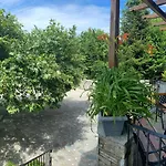 Casa de hóspedes Artemisia House