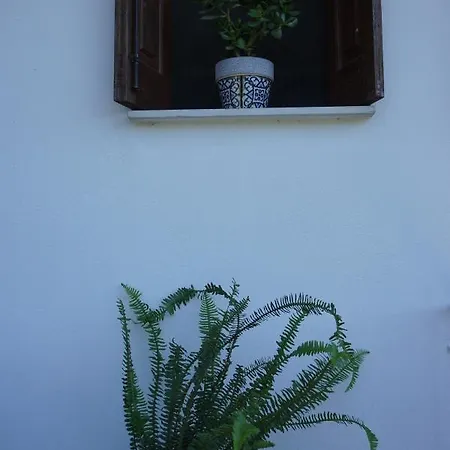 Artemisia House 招待所 3*