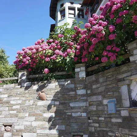 Artemisia House 3* 桑加拉达