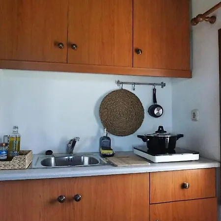 招待所 Artemisia House 3*