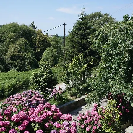 Artemisia House 招待所