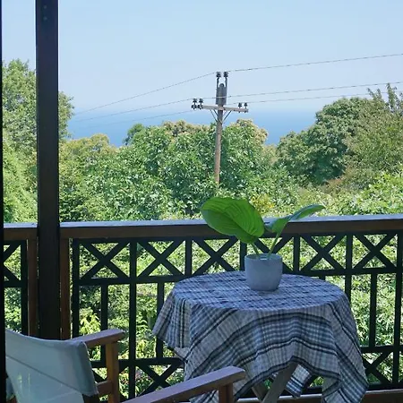 Artemisia House 3* 桑加拉达