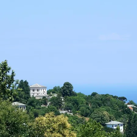 Affittacamere Artemisia House 3*