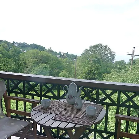 게스트하우스 Artemisia House
