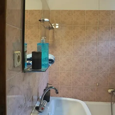 Artemisia House 招待所