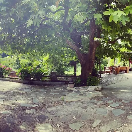 Artemisia House 招待所