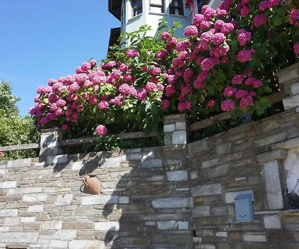 Artemisia House 3* Tsagarada