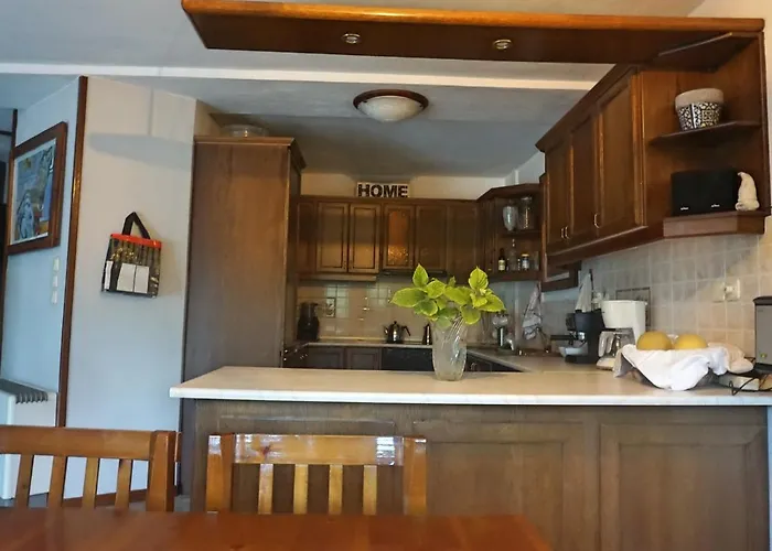 Artemisia House Gasthuis Tsagkarada