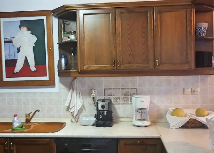 Artemisia House Pensión Tsagkarada