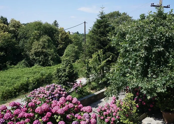 Artemisia House Gasthuis