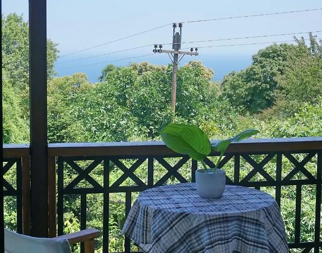 Artemisia House 3* Tsagkarada