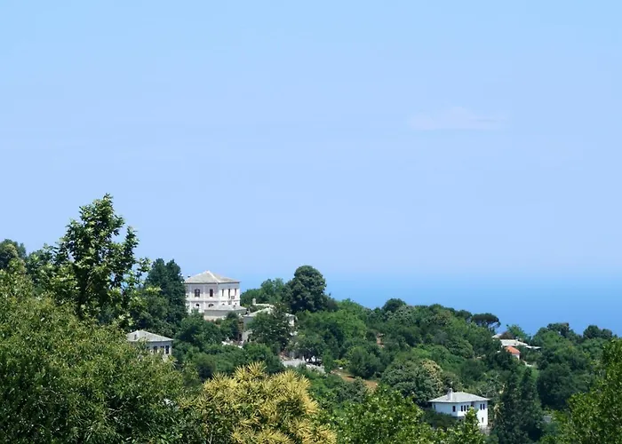 Affittacamere Artemisia House 3*