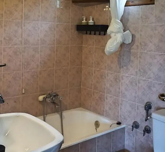 Artemisia House Pensión Tsagkarada