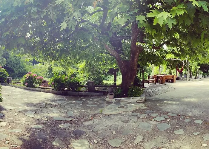 Artemisia House Affittacamere